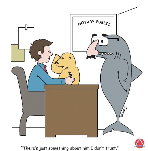 Shark Week Tuesday Disguise Resized